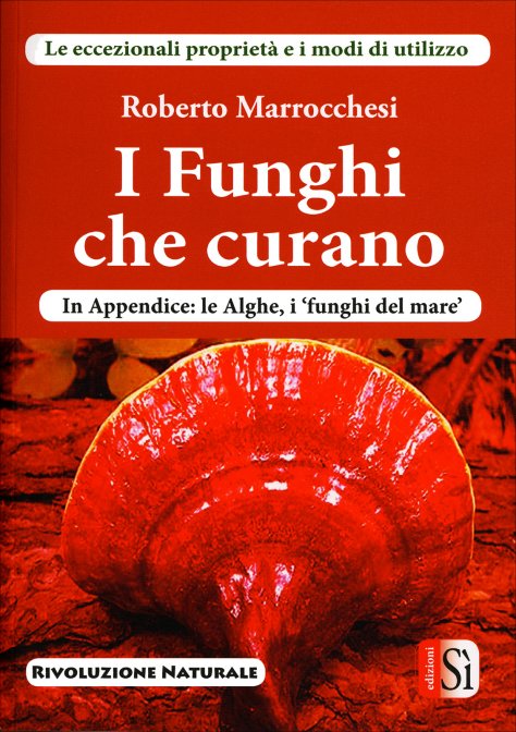 I funghi che curano