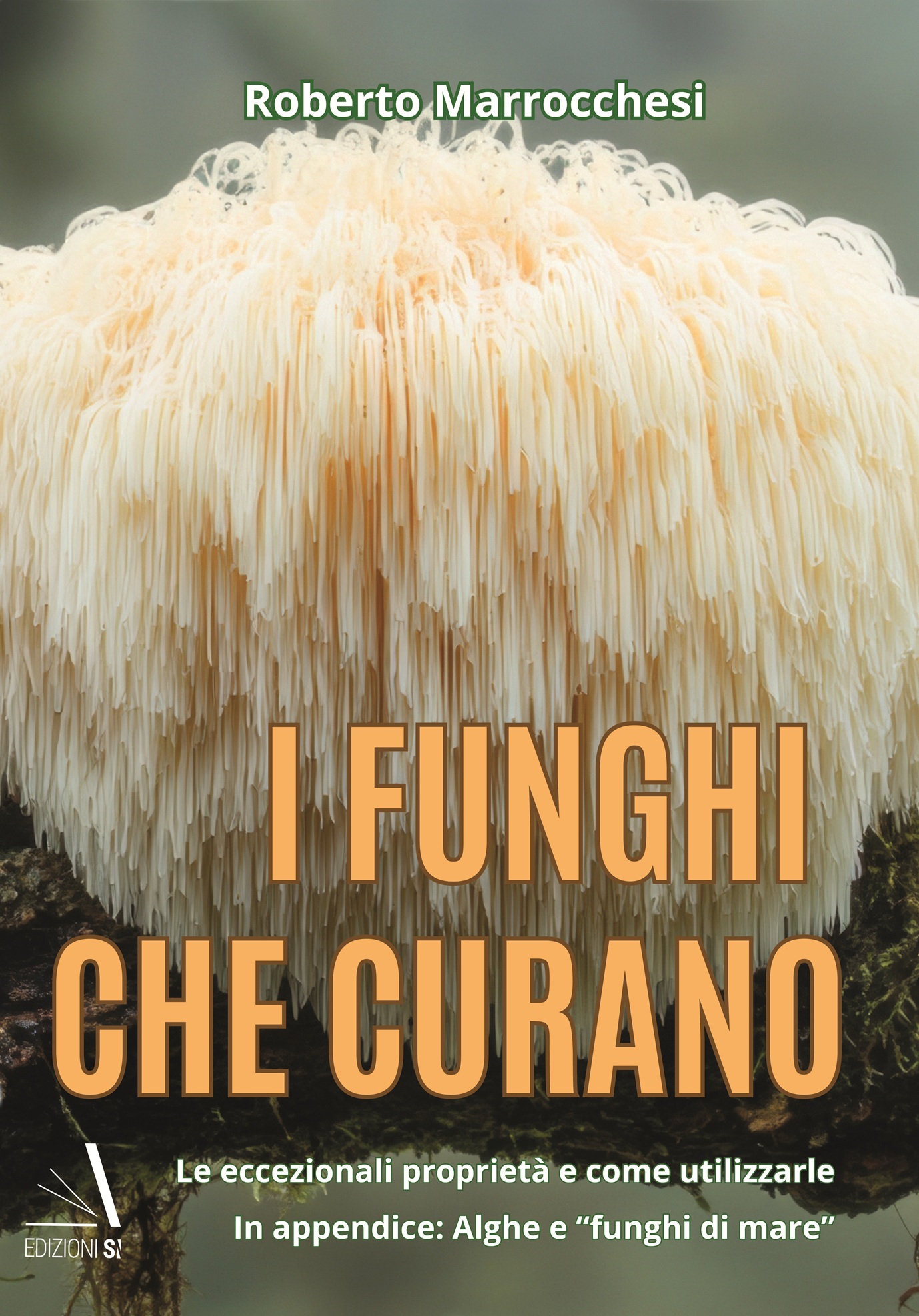 I funghi che curano