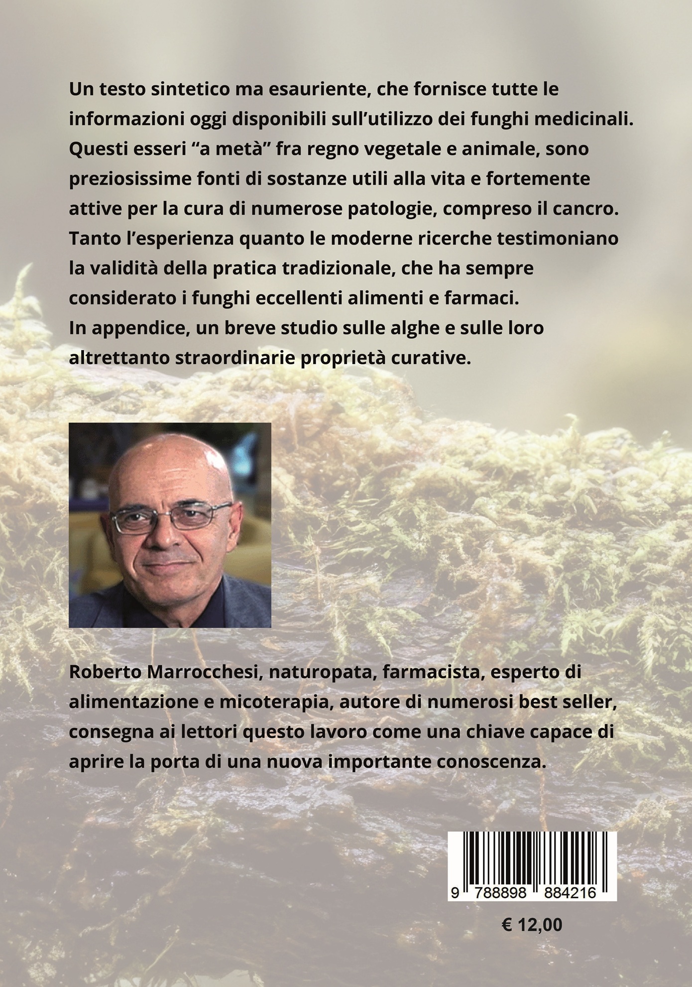 I funghi che curano - immagine 2