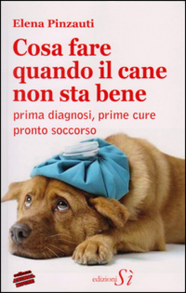 Cosa fare quando il cane non sta bene